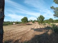 Terreno em Óbidos - 2.4 ha - Outras áreas agrícolas