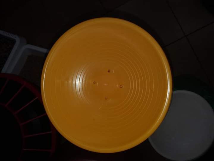 Miski lęgowe WOŁOMIN