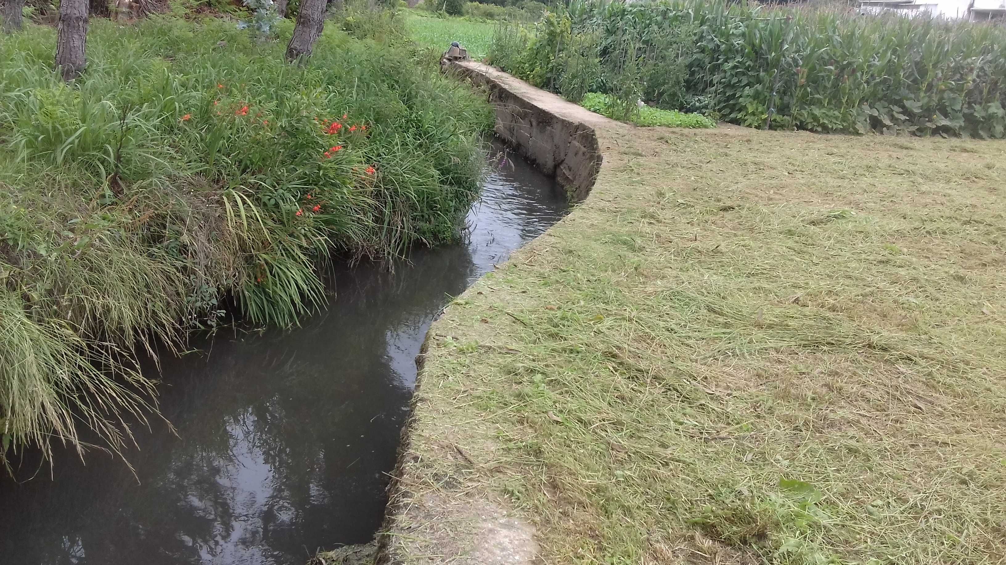 Terreno para agricultura