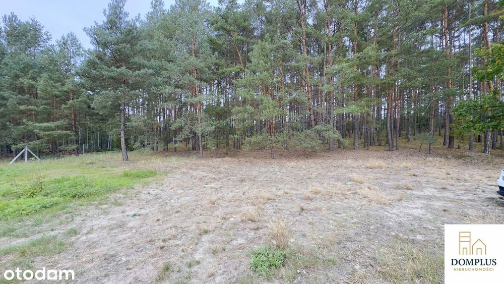 Działki w Chojnie – blisko jeziora i lasu, idealne pod dom lub rekreac