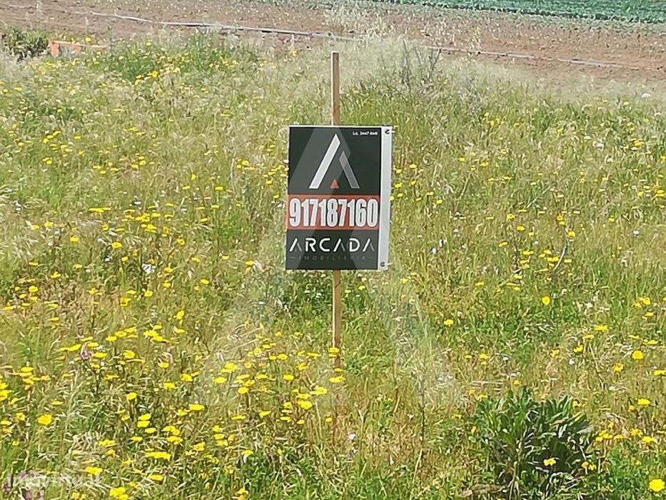 Terreno no centro de Oliveirinha