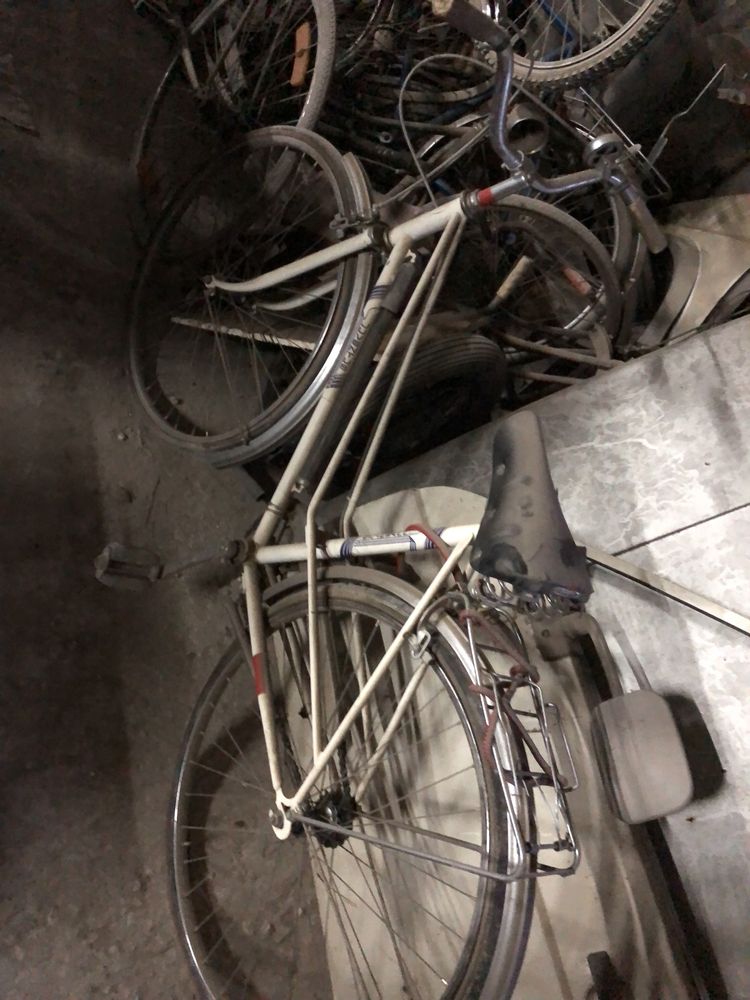 Bicicleta bike tipo Pasteleira Juventus