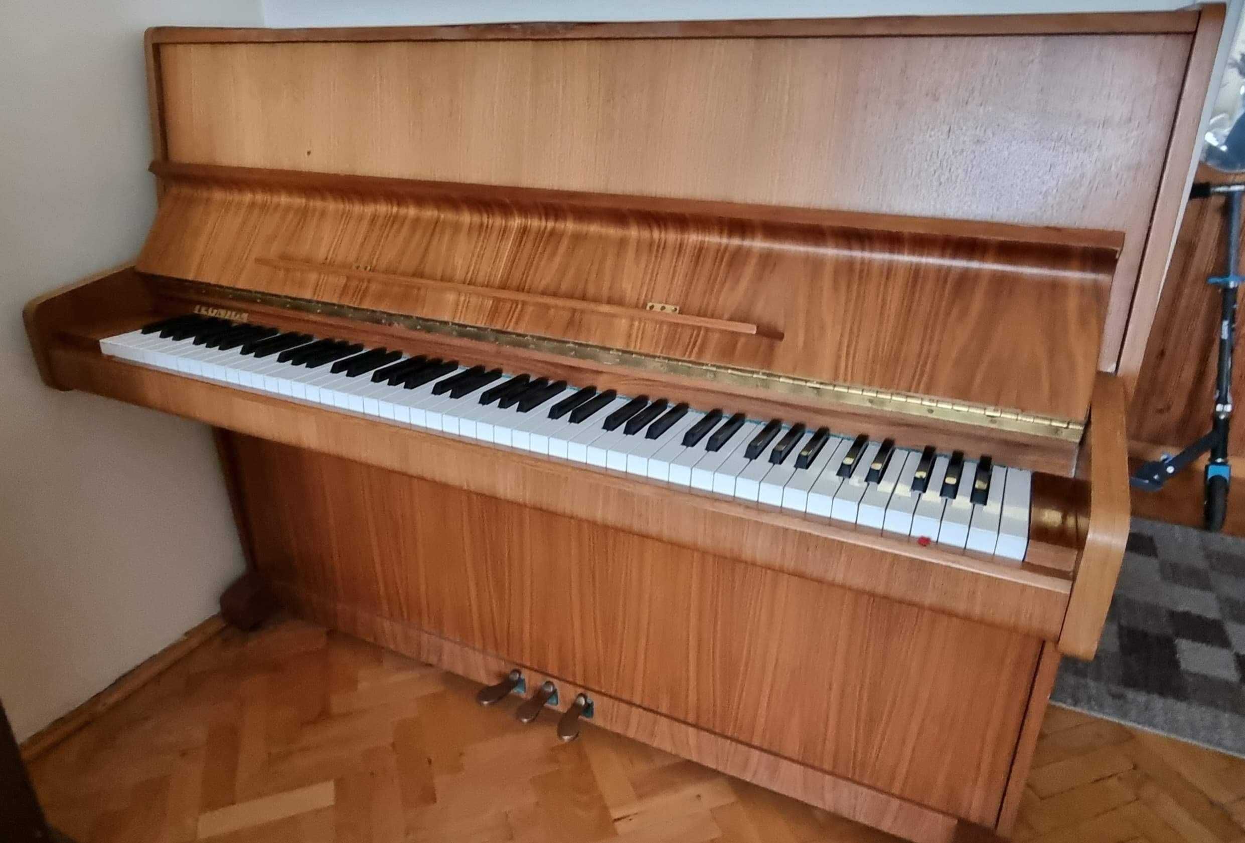 Pianino Legnica polskie