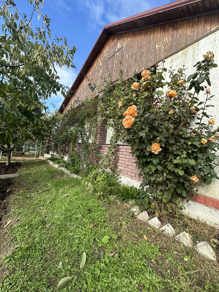 Продам Дом в Барабоях