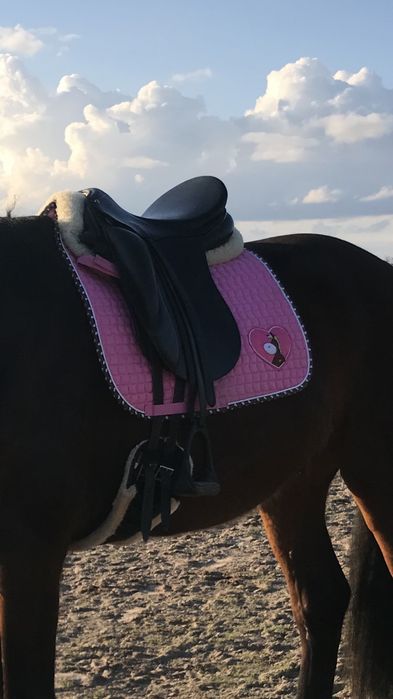 siodło ujeżdzeniowe pds aldea professional dressage solutions pessoa