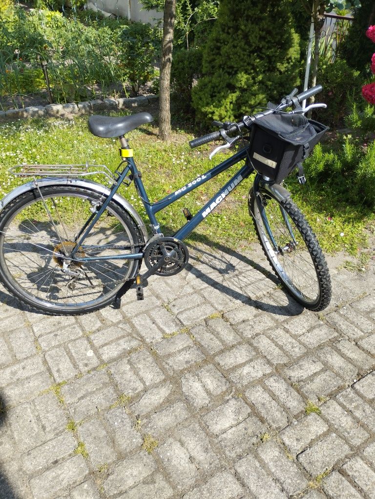 Rower górski damski Magnum 300L