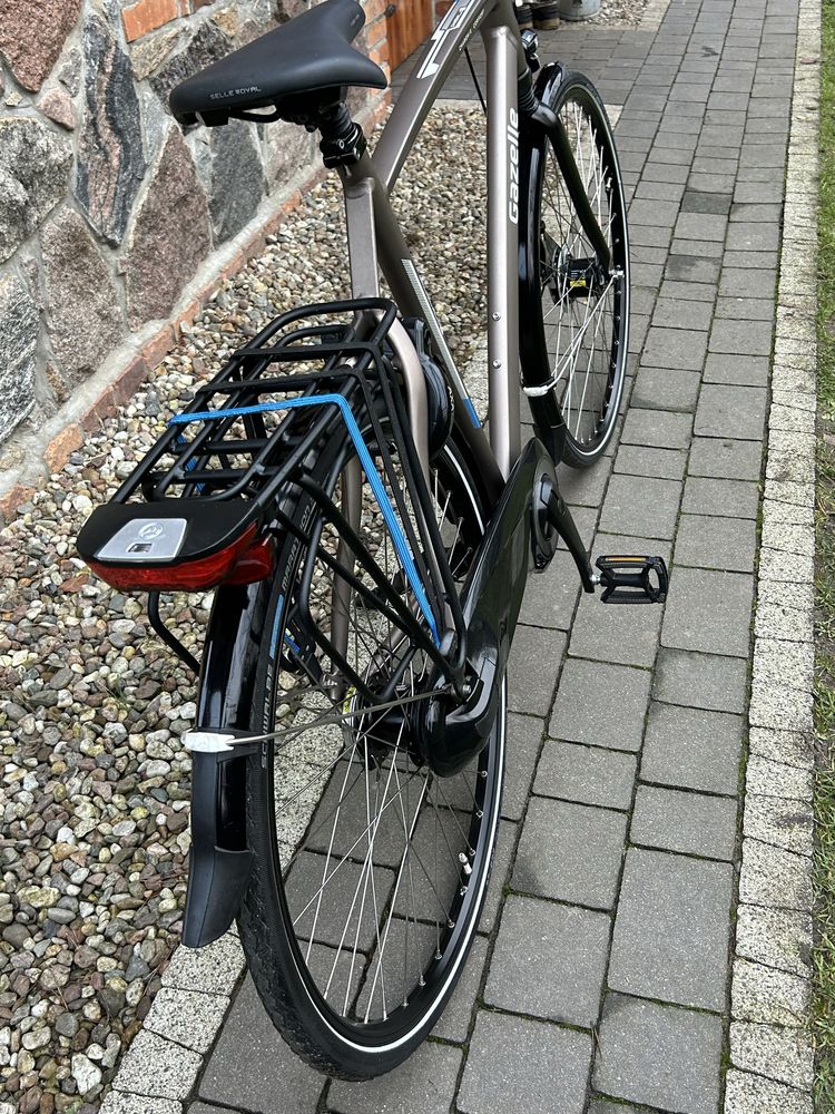 Rower Gazelle Chamonix C7