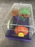 Gaiola para hamster como nova.