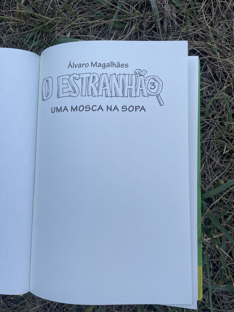 Livro bom para pré adulochetes de 10/12