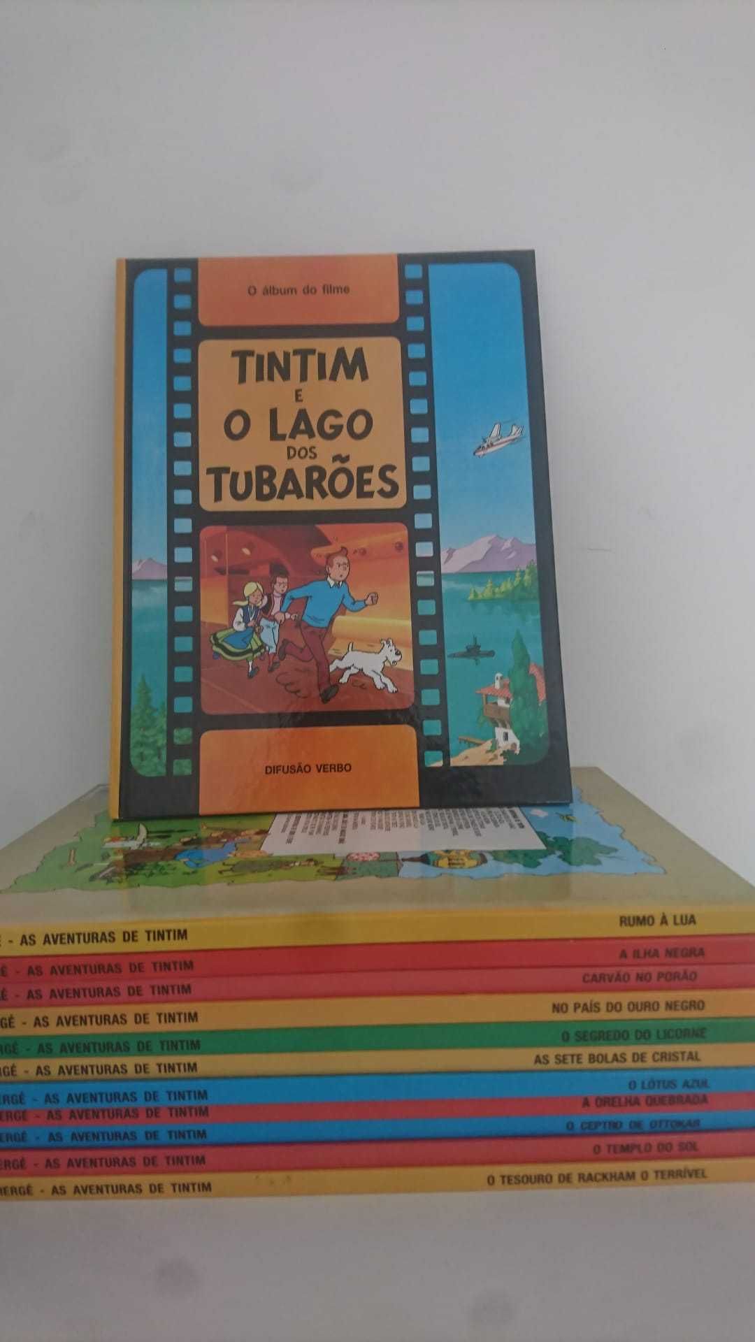 13 livros vintage e raros de edições dos anos 90 do TinTin