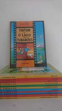 13 livros vintage e raros de edições dos anos 90 do TinTin