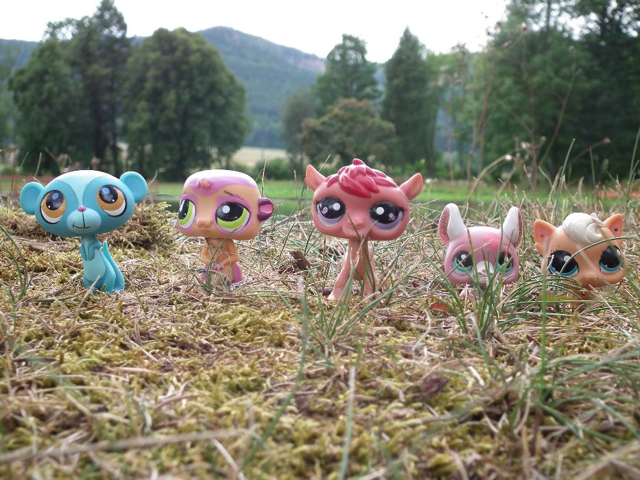 Littlest Pet Shop LPS i inne_kolekcja