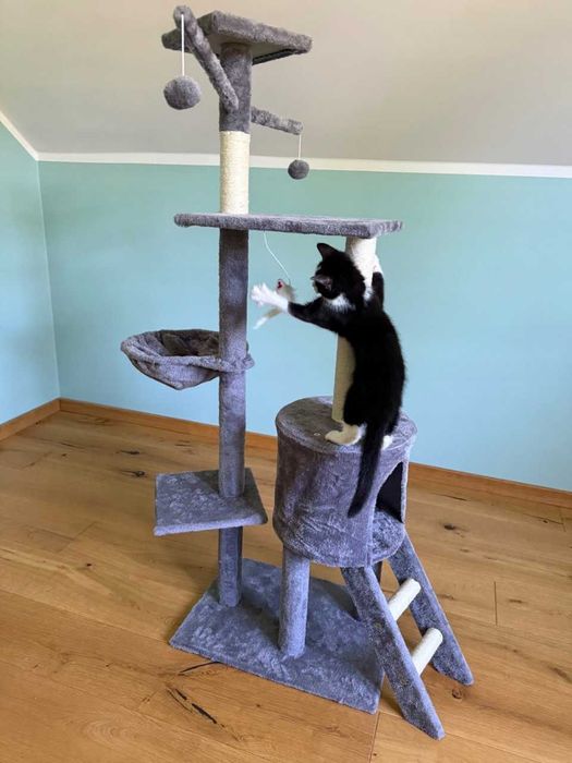 NOWY Drapak Dla Kota Wieża Domek Legowisko 5 Poziomów 138cm