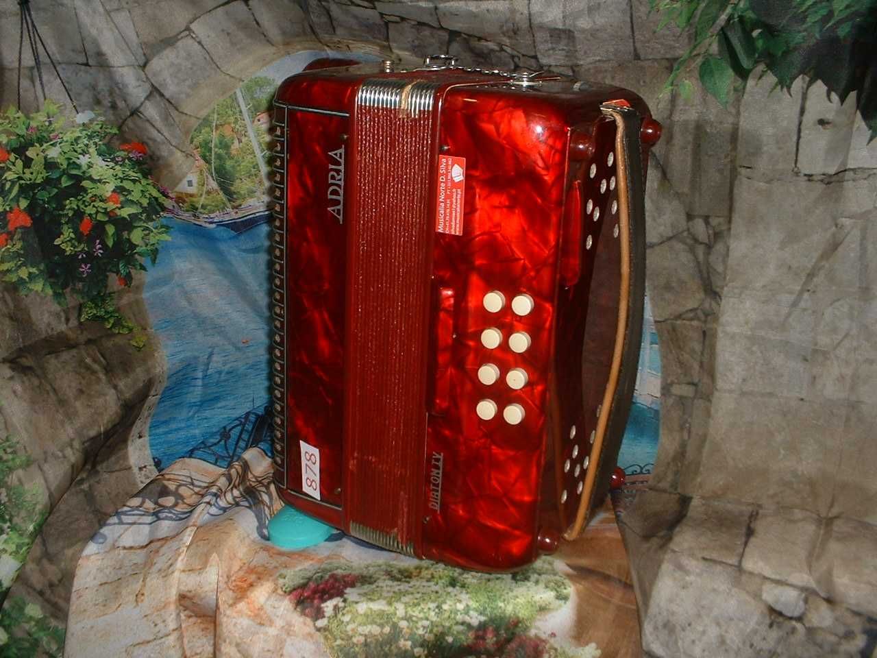 Concertina para venda N, 878