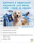 Оформление документов для выезда животных за границу. Срочно.Антитела.