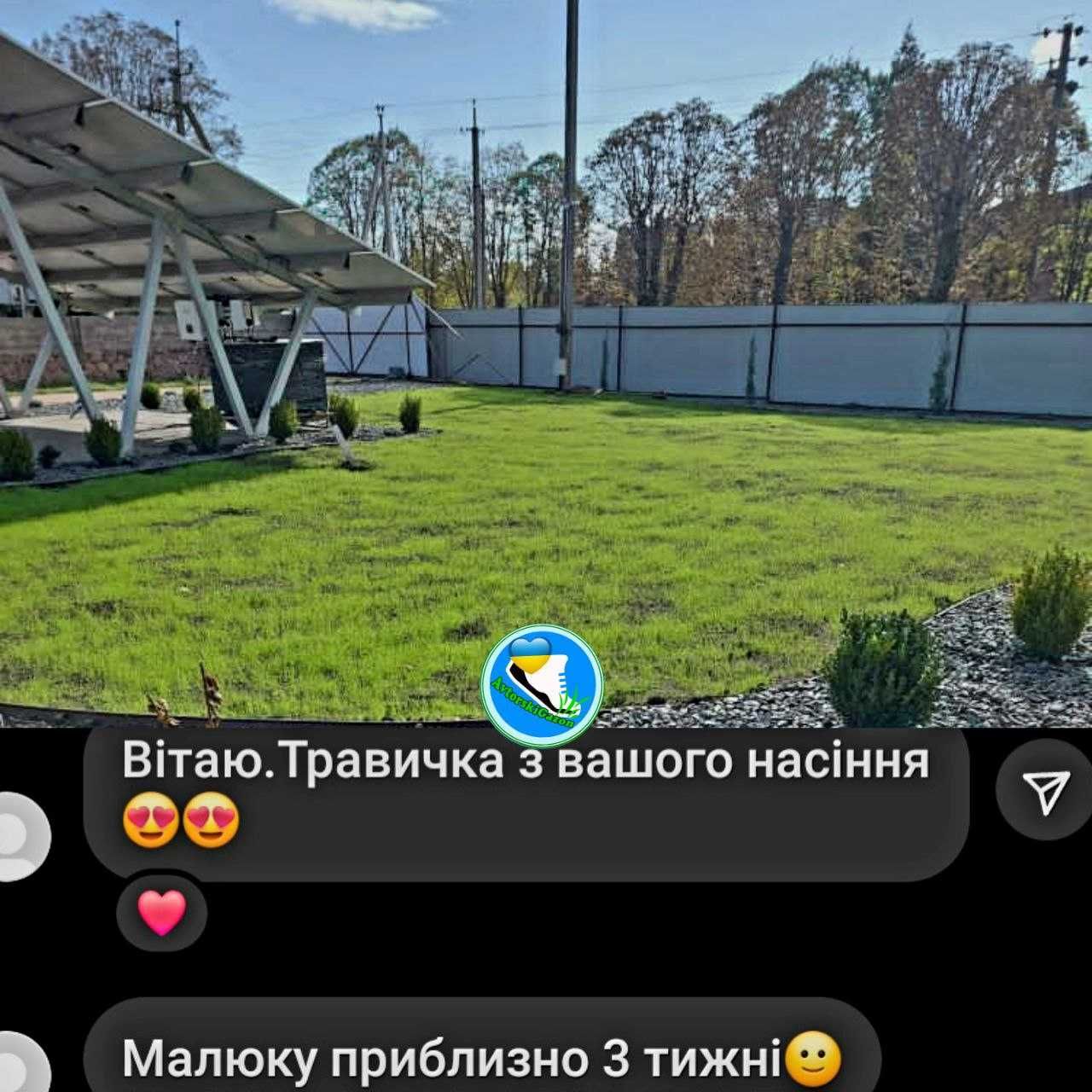 Газон из белого микро клевера 1кг конюшина повзуча різні виробники