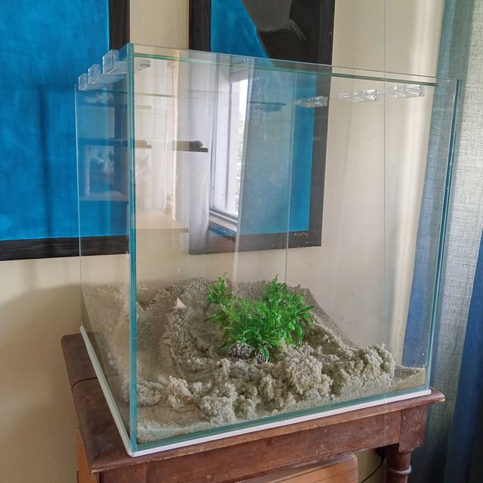 Aquário blau cubic 42l