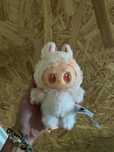 Labubu blind box