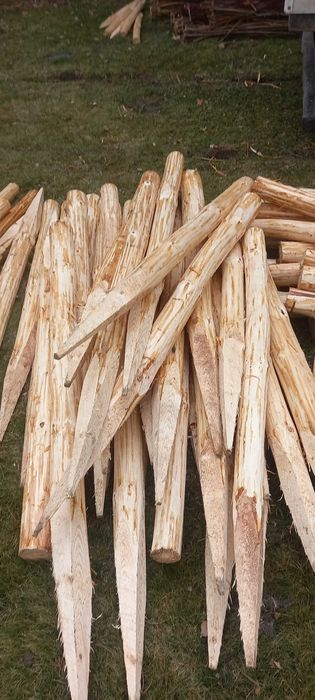 melioracje faszynowanie rzek stawów i rowów faszyna kołki