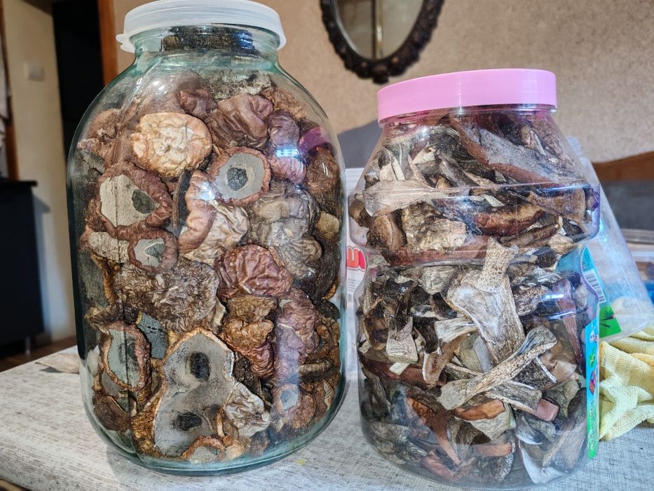 Сушені гриби підосиновики шляпки гриба