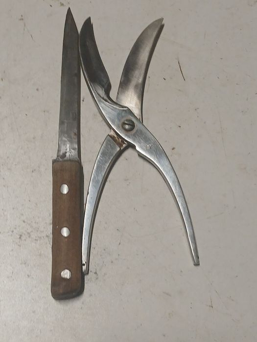 Nożyce do drobiu kurczaków nóż masarski