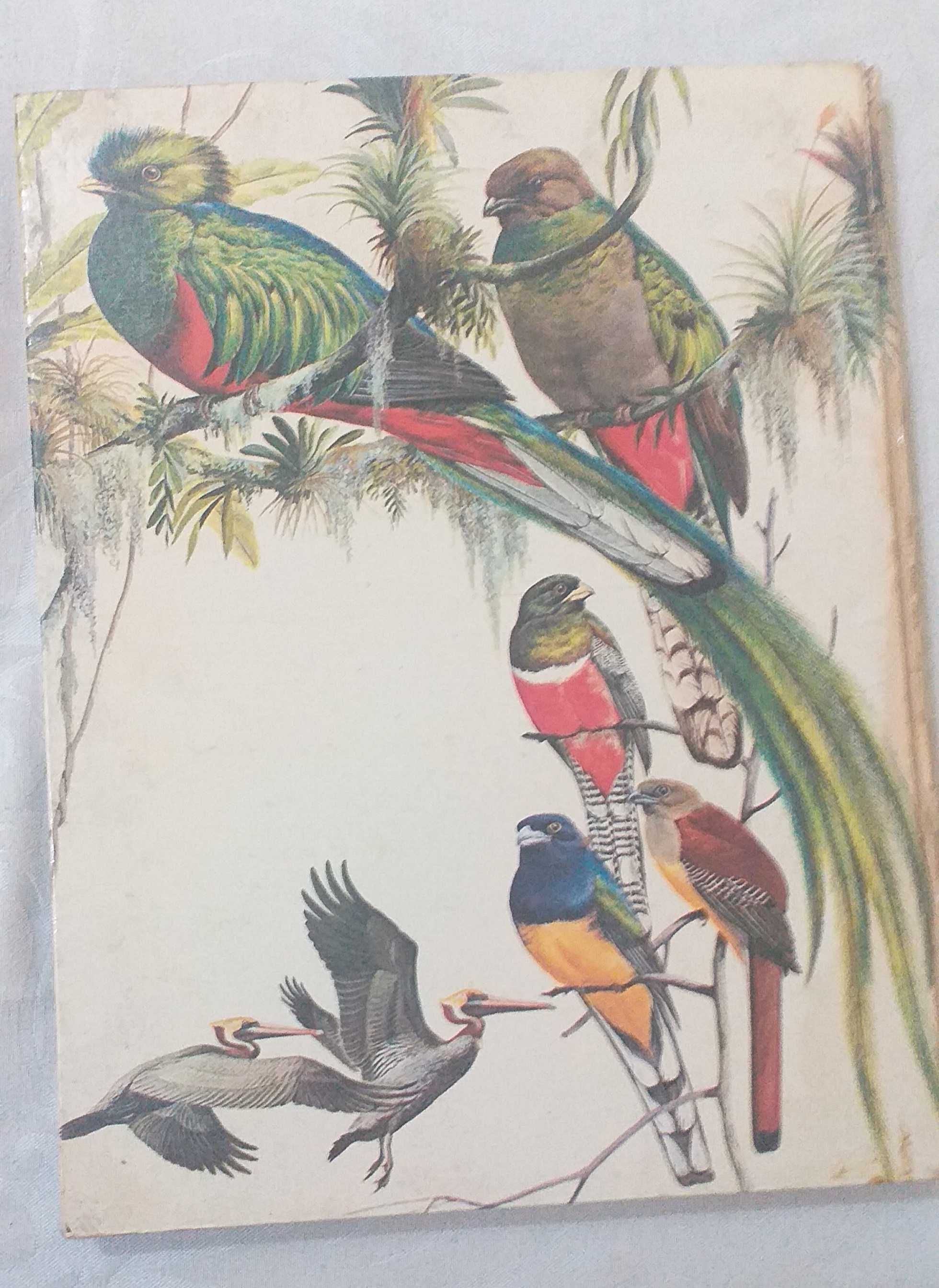 O Grande livro das aves ,Robert Porter Allen