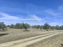 Terreno  para venda