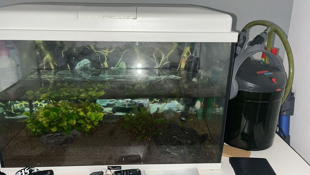 Aquário, filtro, termostato e decorações