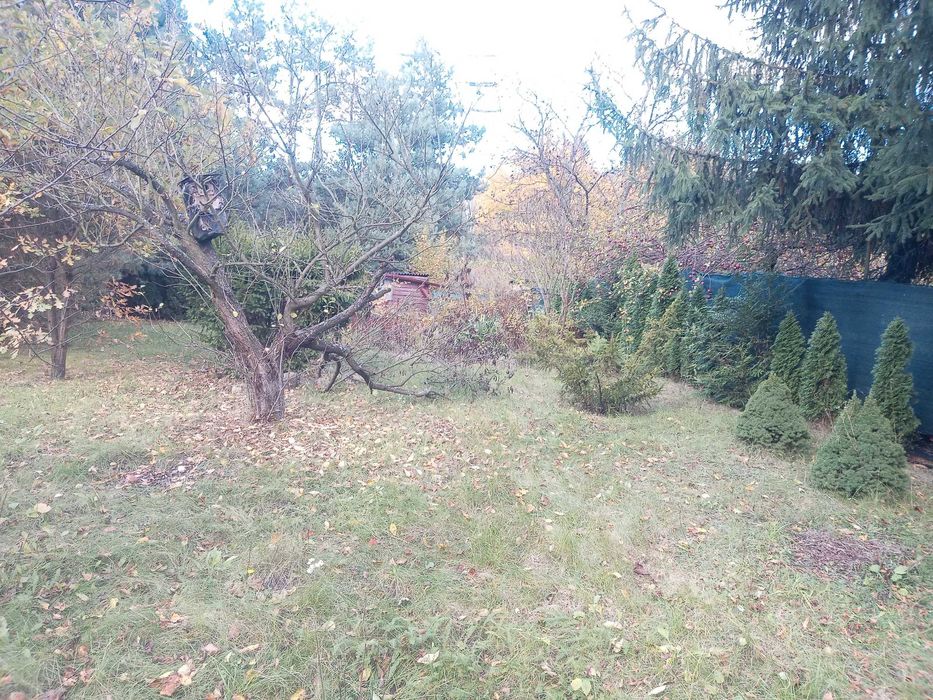 Ogródek działkowy ROD Grodziec