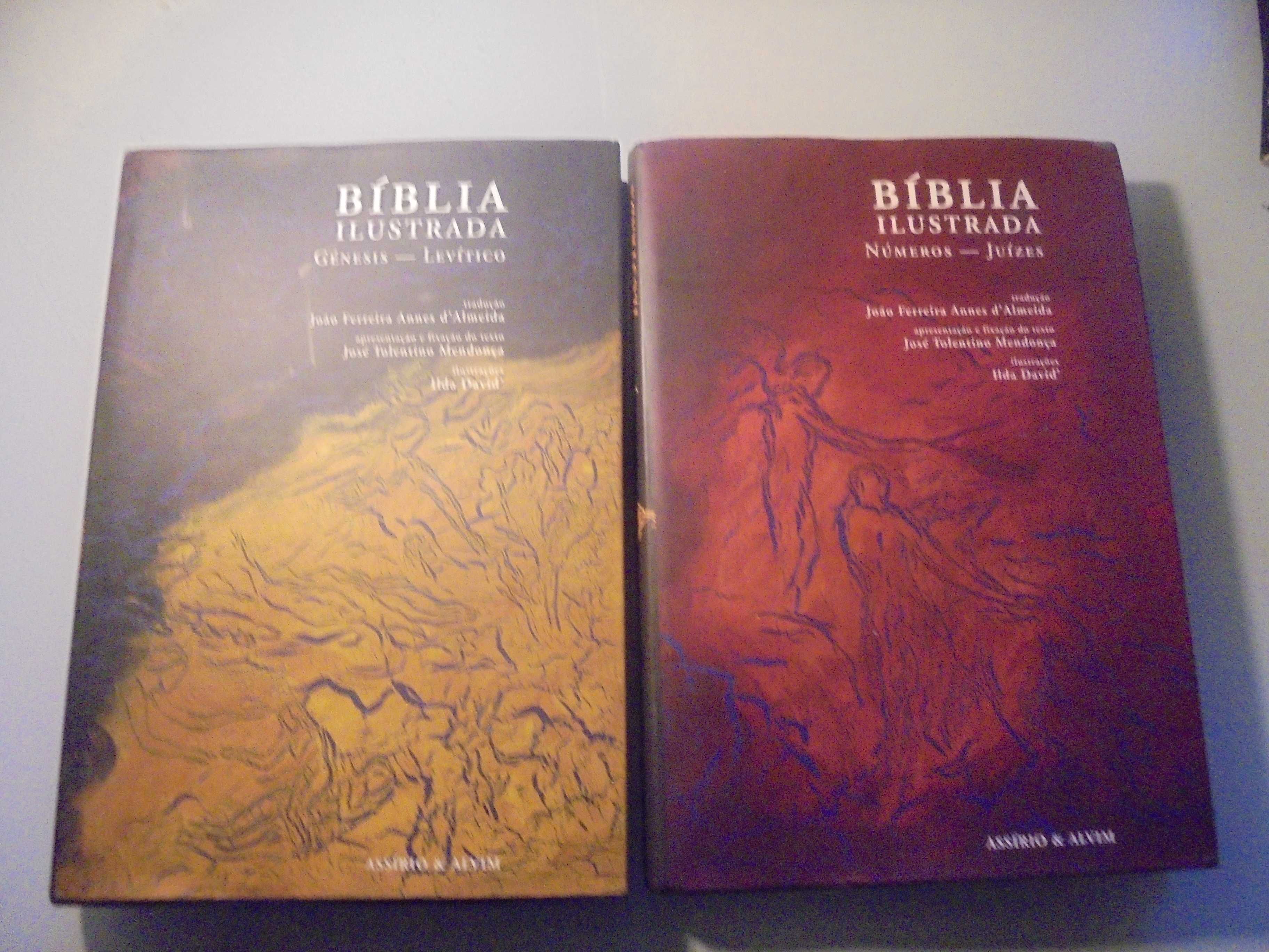 Almeida (João Ferreira Annes );Bíblia Ilustrada-Génesis-Levítico-