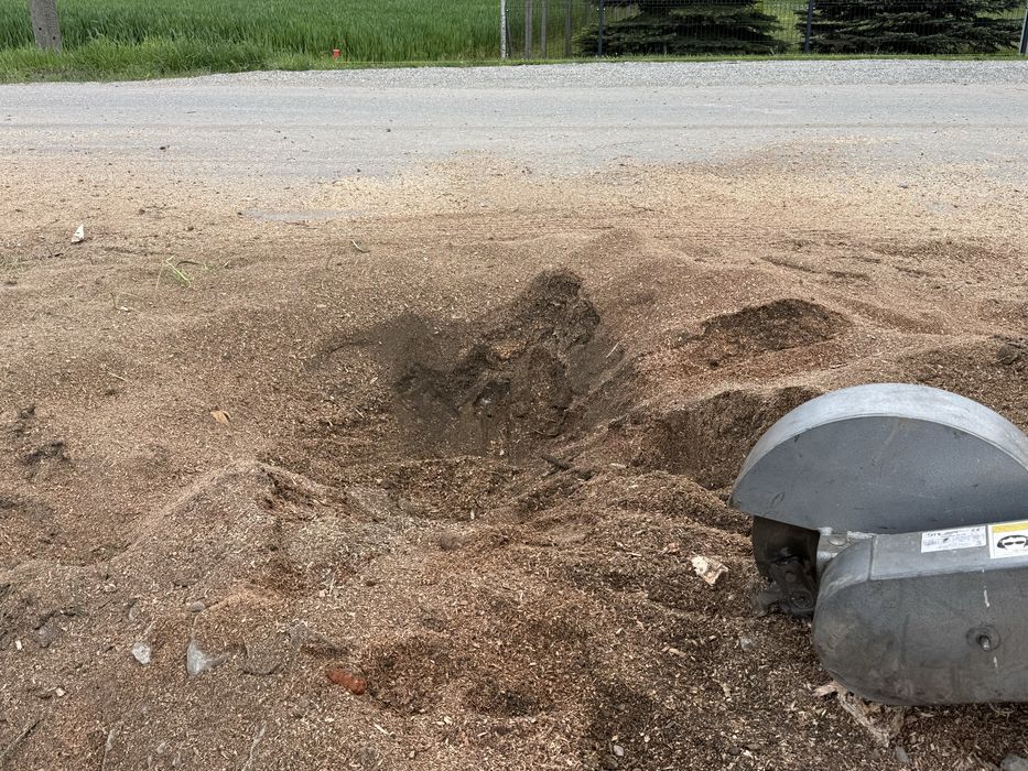 Usuwanie pni drzew karczowanie