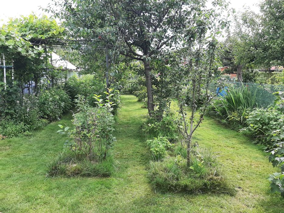 Działka ROD, Gdynia ul. Hutnicza