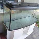 Akwarium panoramiczne 450l