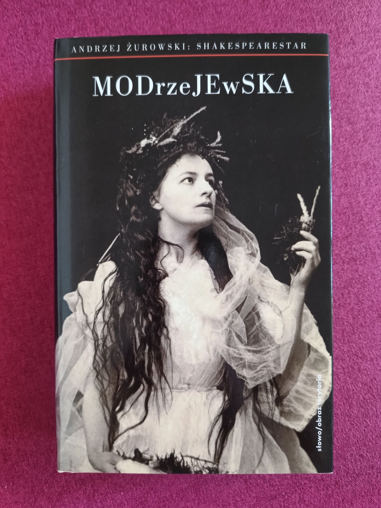 książka Modrzejewska Andrzej Żurowski słowo obraz terytoria