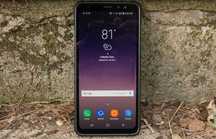 Samsung Galaxy S8 Active 64GB G892A 5.8" Snapdragon 4000мАч 13 циклів