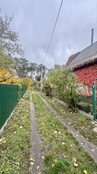 Дача коло Дніпра