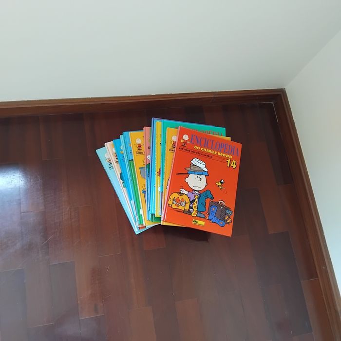 Enciclopédia infantil  coleção 14 livros