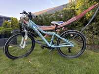 Rower Kands 24 cali dragon