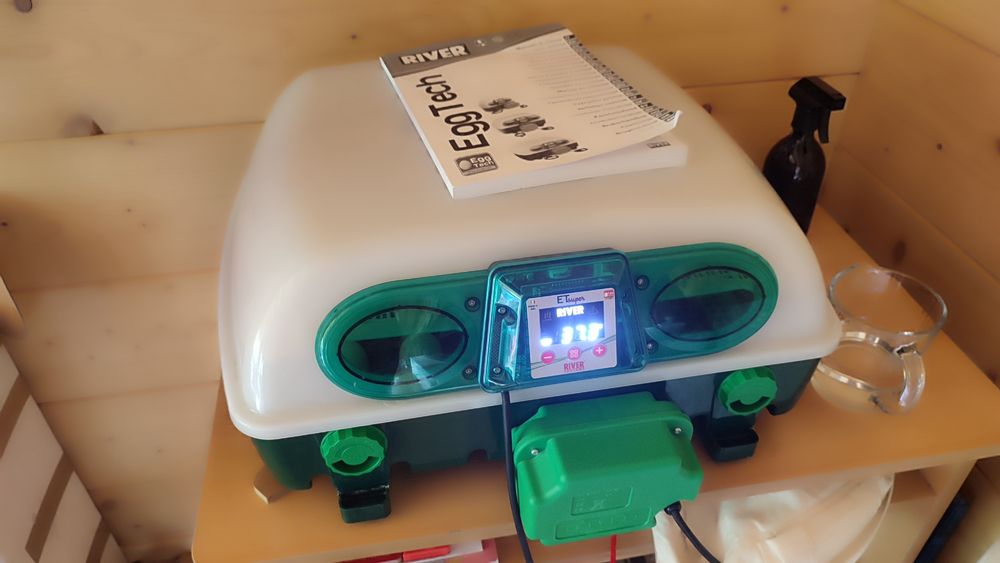 Inkubator automatyczny włoski River