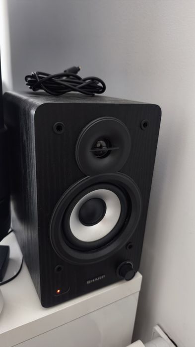 Colunas de som Sharp CP-SS30 black