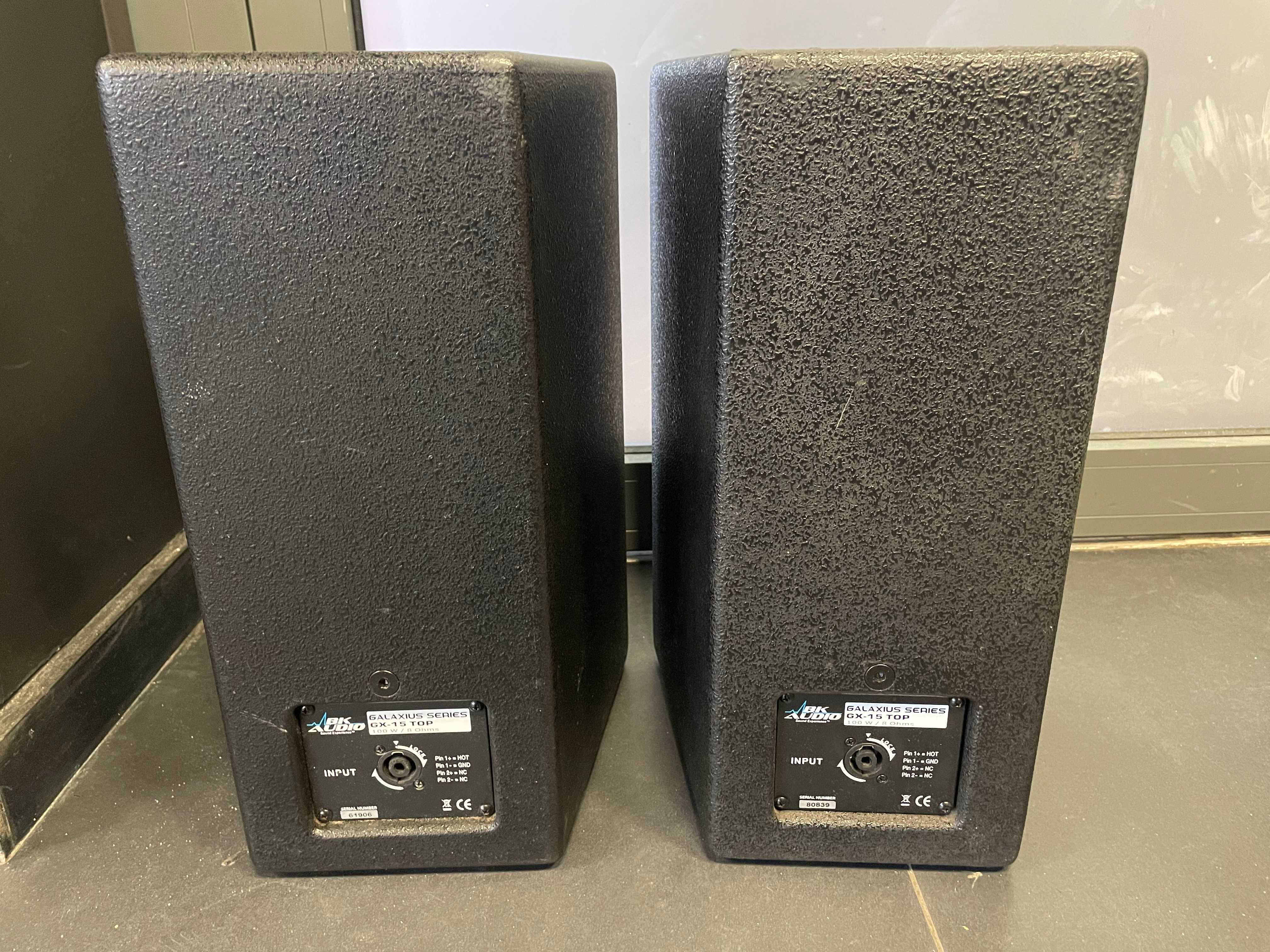 Głośniki, Satelity nagłośnienia BK Audio Galaxius GX-15 TOP