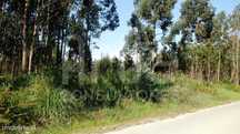 Terreno  Venda em Eixo e Eirol,Aveiro