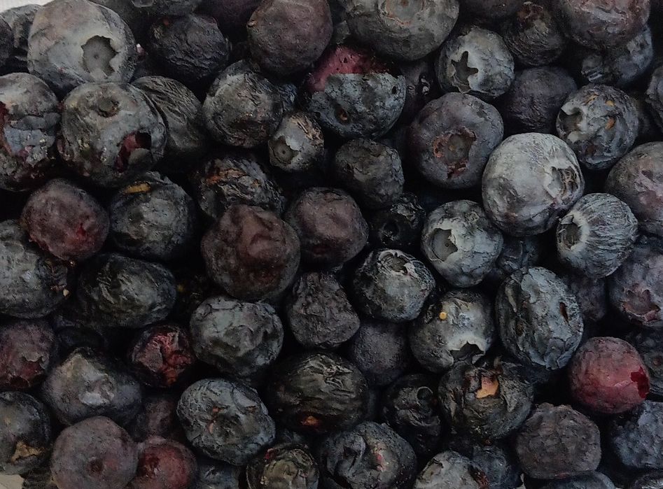 Borówka amerykańska liofilizowana