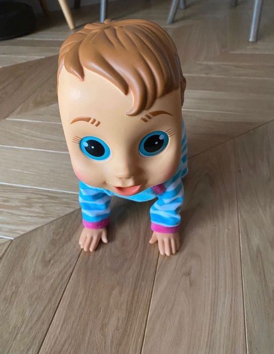 BabyWow Charlie raczkujący bobas