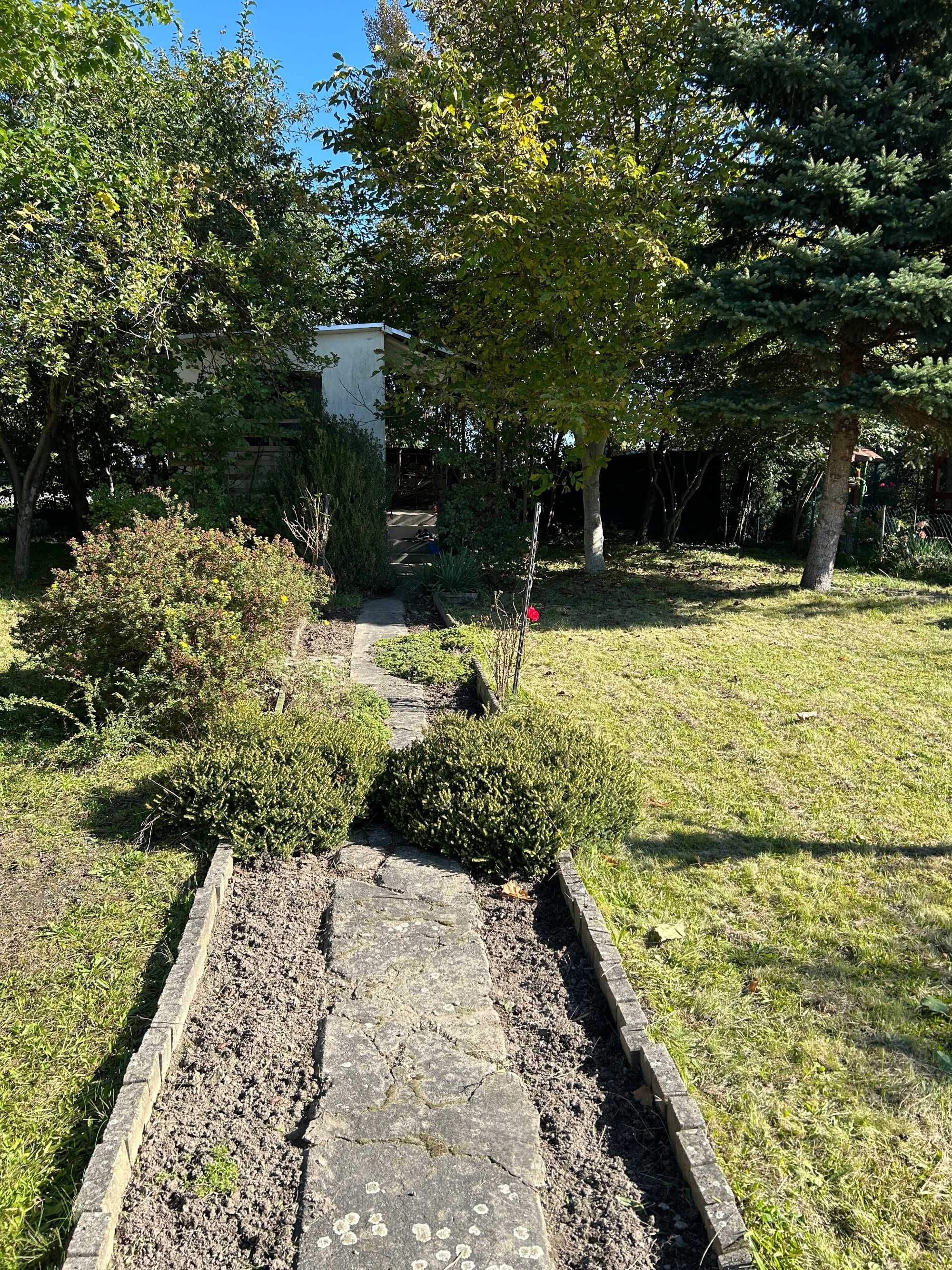 Ogródek działkowy ROD Piwonia Wrocław, ul. Graniczna 47