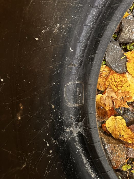 Зимняя резина на авто