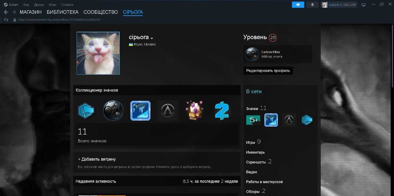 аккаунт steam 2o lvl