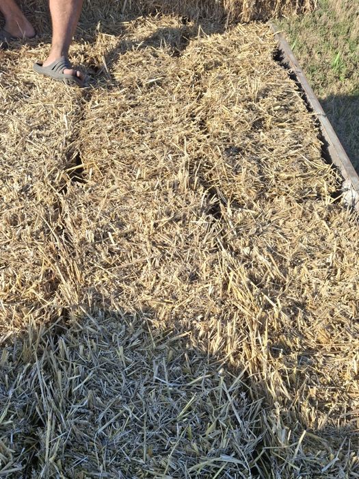 Продам Тюки Солома