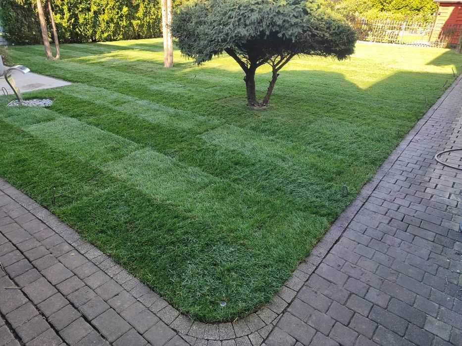 Usługi brukarskie i ogrodnicze