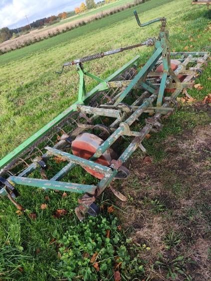 Sprzedam byczka ze zdjecia